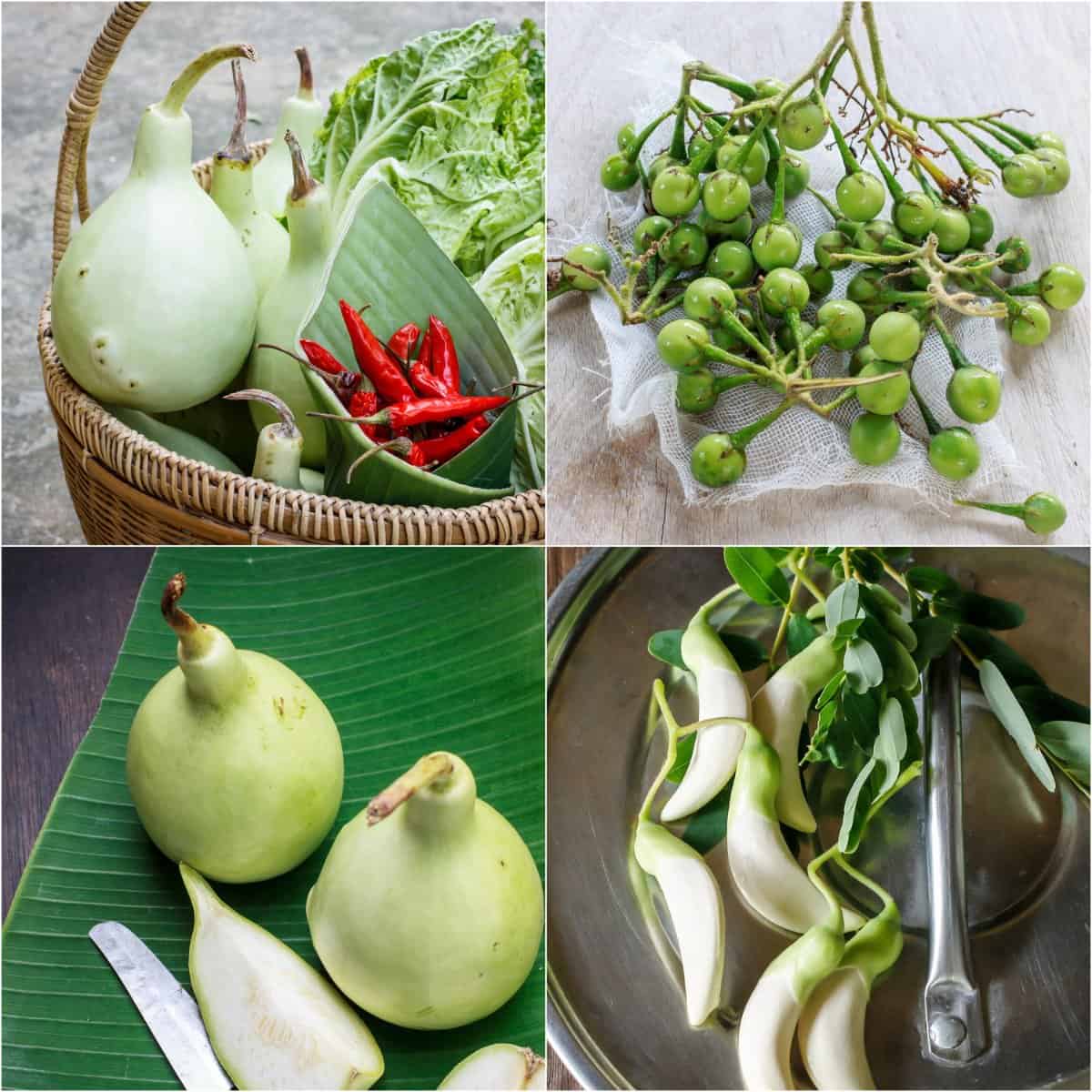 Verdure asiatiche